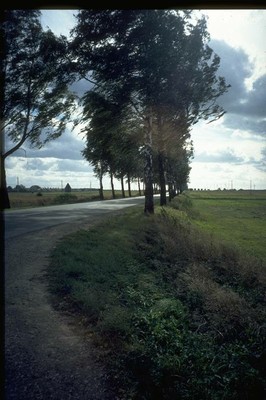 Wind: meist von vorne 